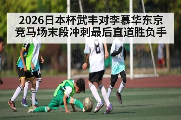 2026日本杯武丰对李慕华东京竞马场末段冲刺最后直道胜负手